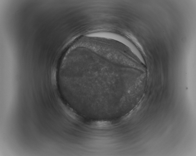 X0000115130154200911241452