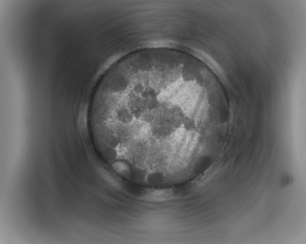 X0000115130155200911241453