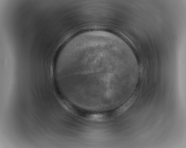 X0000115130158200911241453