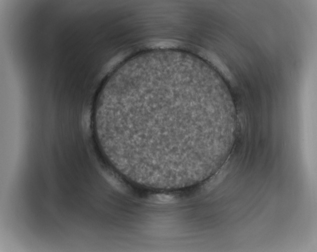 X0000115130159200911241453