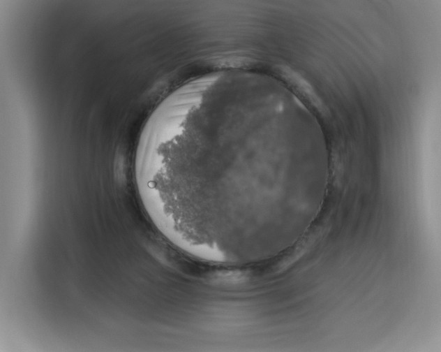 X0000115130161200911241453