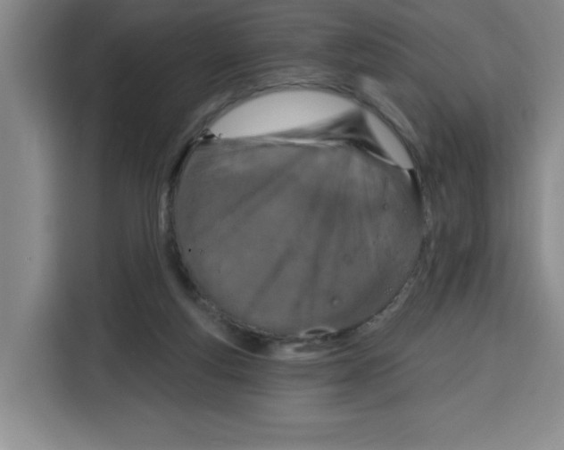 X0000115130163200911241453