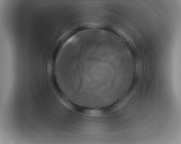 X0000115130165200911241453