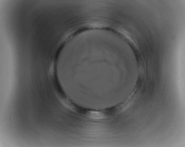 X0000115130167200911241453