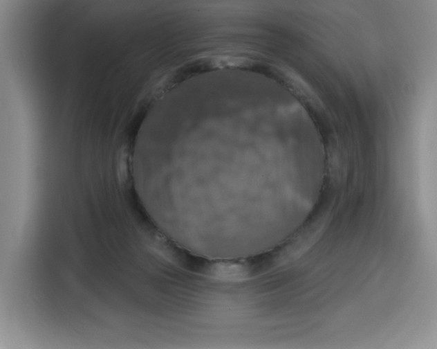 X0000115130169200911241453