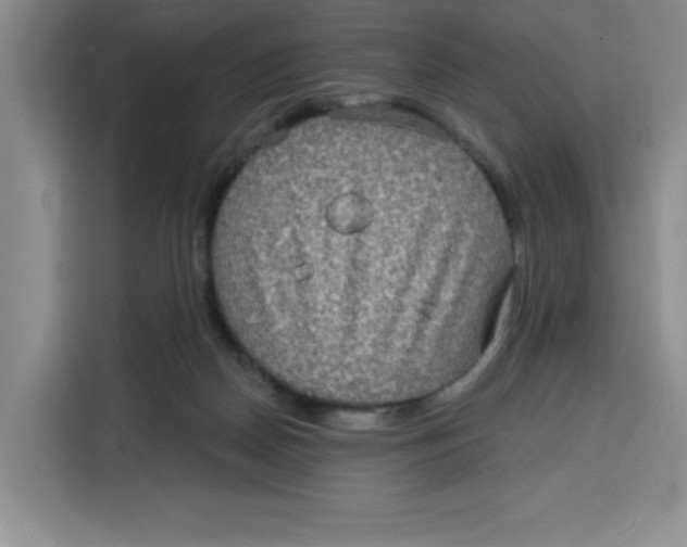 X0000115130170200911241453