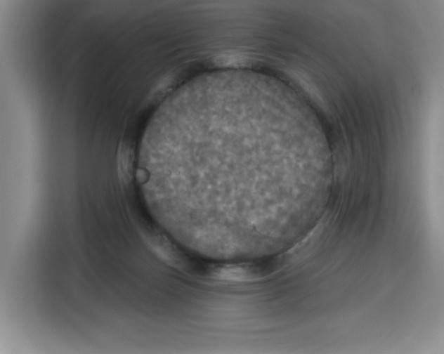 X0000115130171200911241453