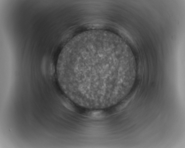 X0000115130173200911241453