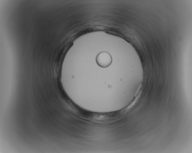 X0000115130174200911241453
