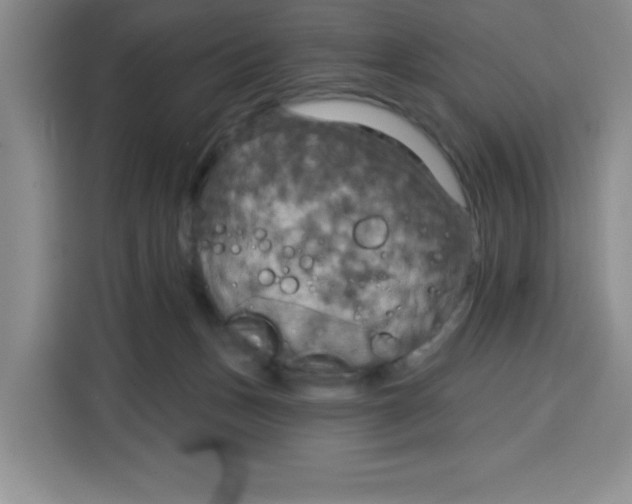 X0000115130175200911241453