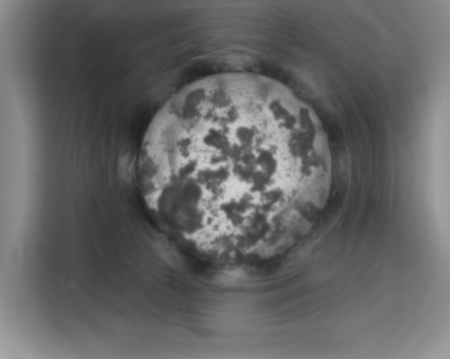 X0000115130177200911241453