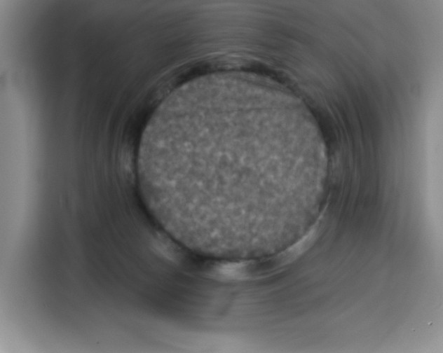 X0000115130178200911241453