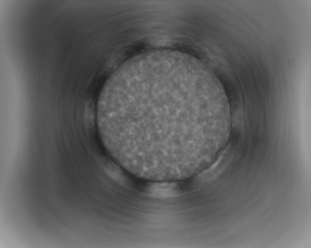 X0000115130179200911241453