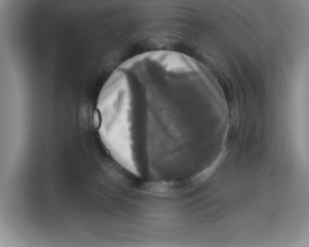 X0000115130182200911241453
