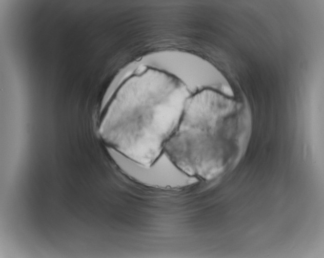 X0000115130185200911241453