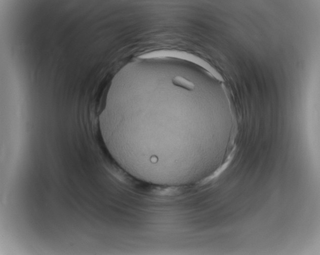 X0000115130186200911241453