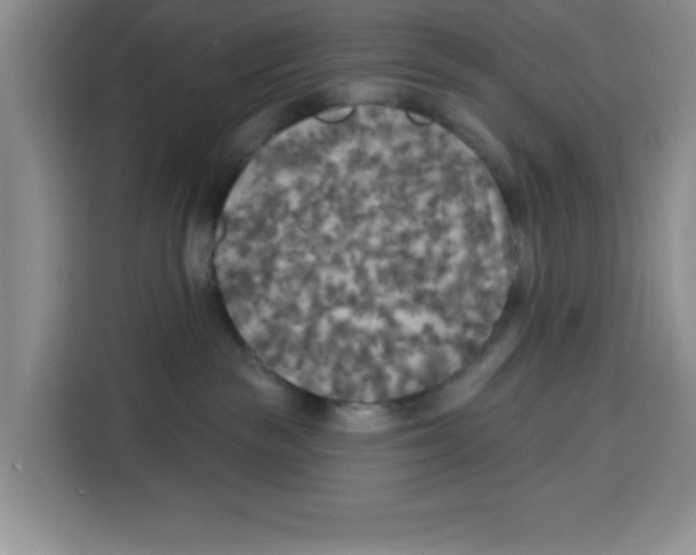 X0000115130189200911241453
