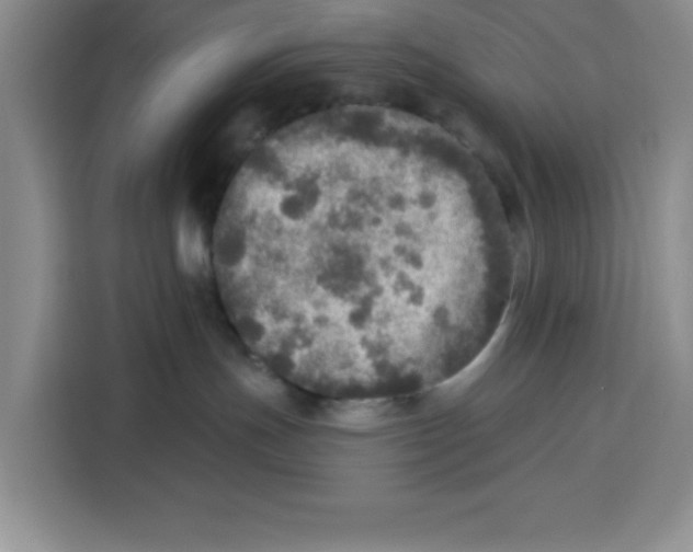 X0000115130191200911241453