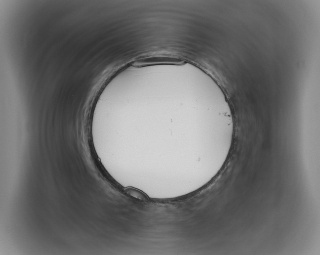 X0000115130193200911241452