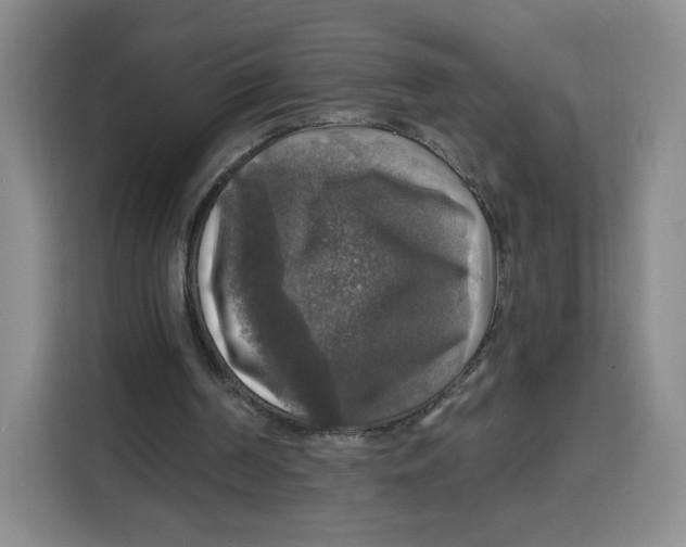 X0000115130194200911241452