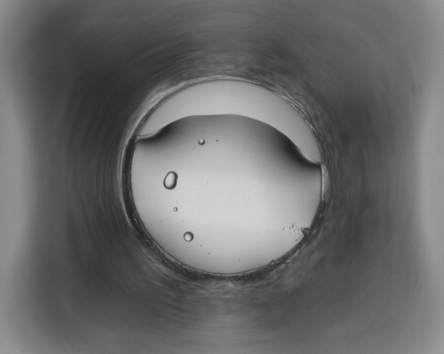 X0000115130195200911241452