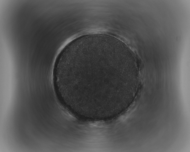 X0000115130196200911241452