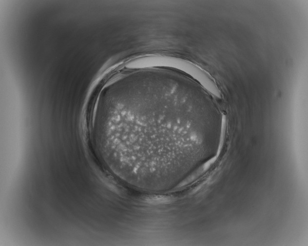X0000115130198200911241452