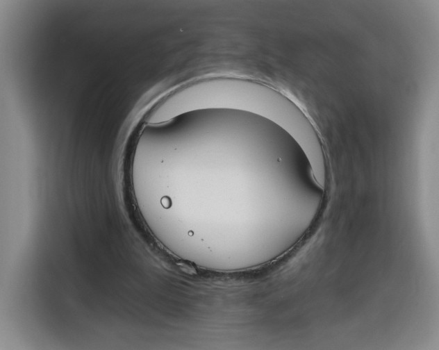X0000115130199200911241452