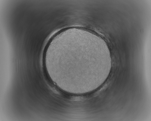 X0000115130200200911241452