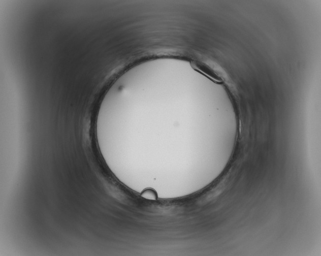 X0000115130201200911241452