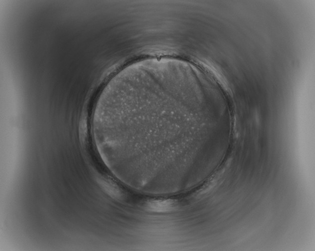 X0000115130202200911241452