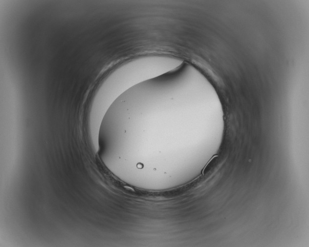 X0000115130203200911241452