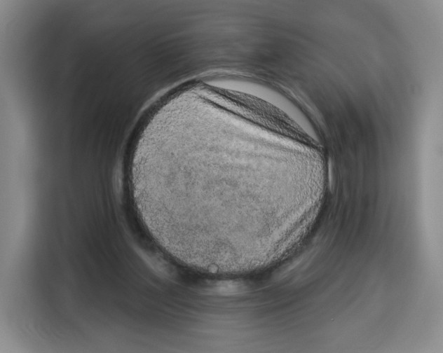 X0000115130204200911241452