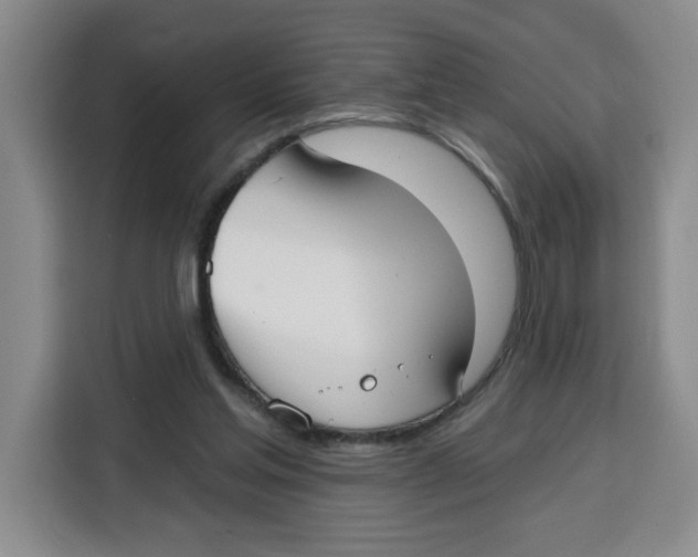 X0000115130205200911241452