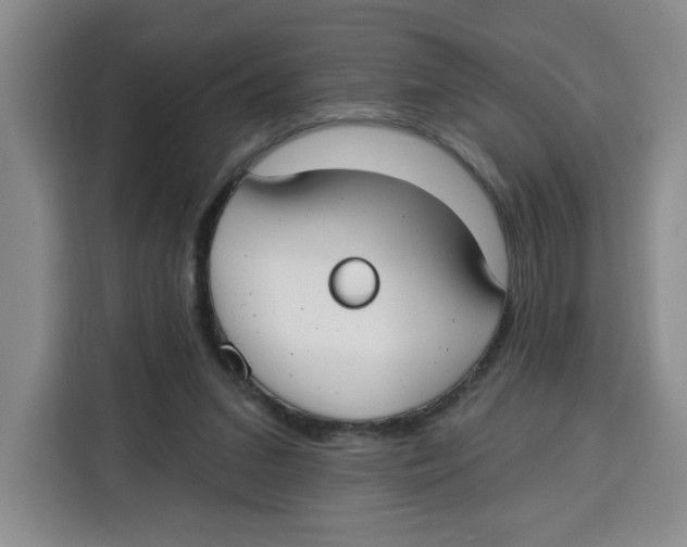 X0000115130207200911241452