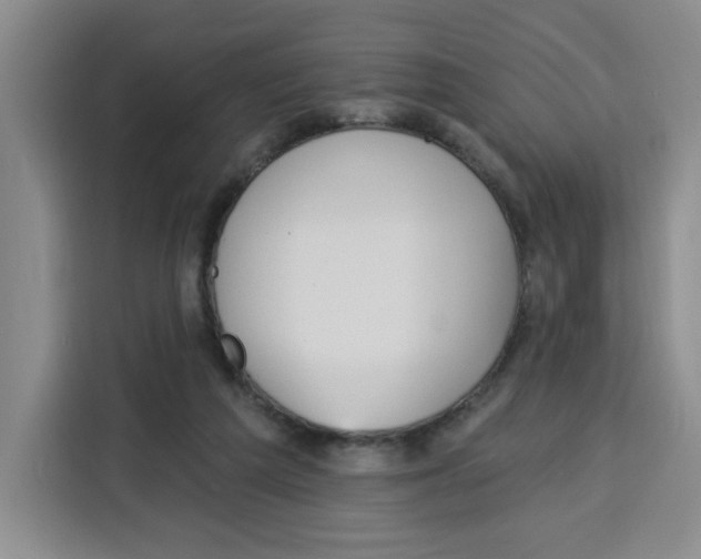 X0000115130209200911241452