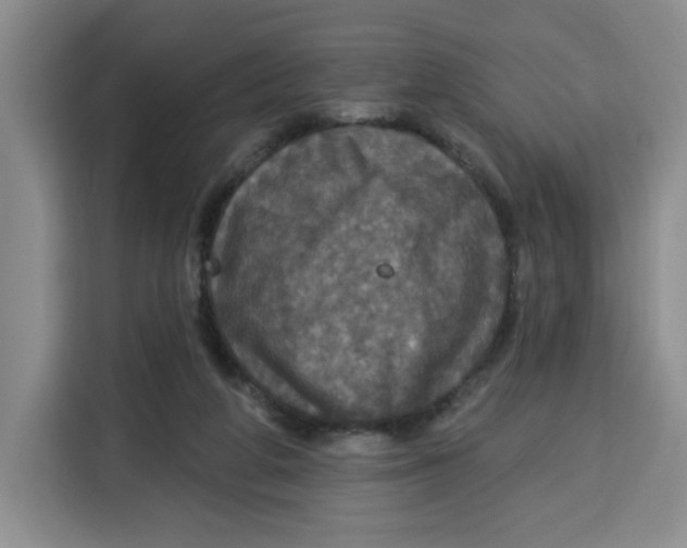 X0000115130210200911241452