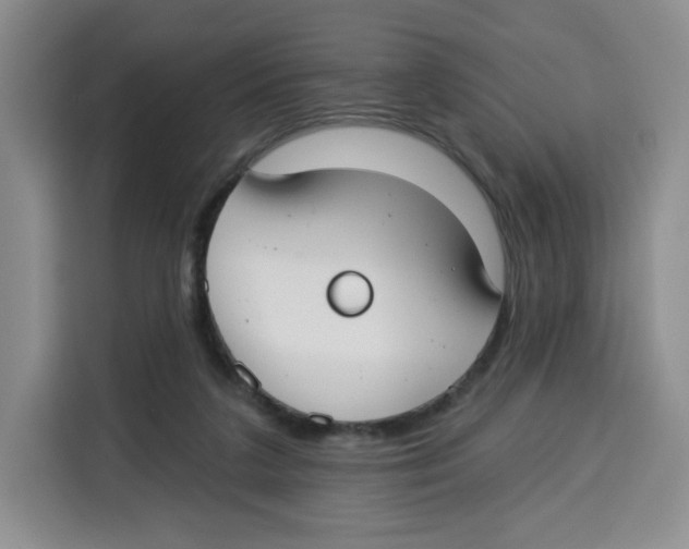 X0000115130211200911241452