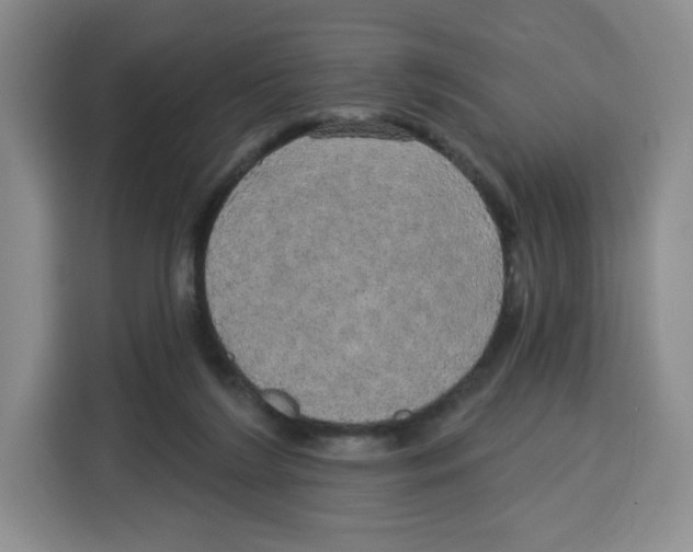 X0000115130212200911241452