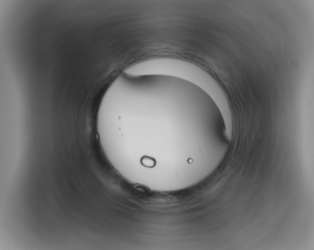 X0000115130215200911241452