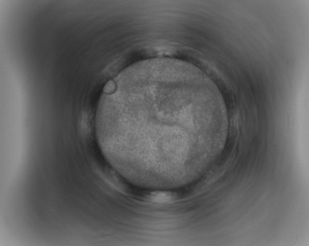 X0000115130218200911241452