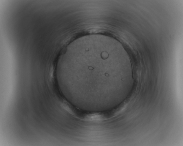 X0000115130219200911241452