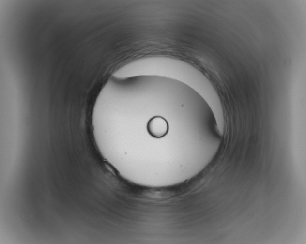 X0000115130221200911241452