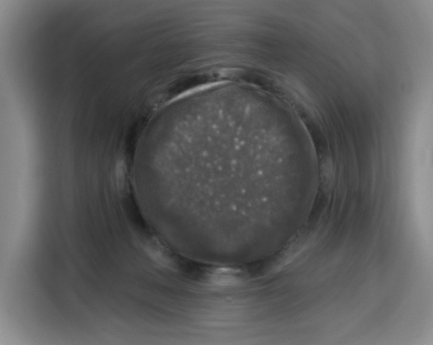 X0000115130222200911241452