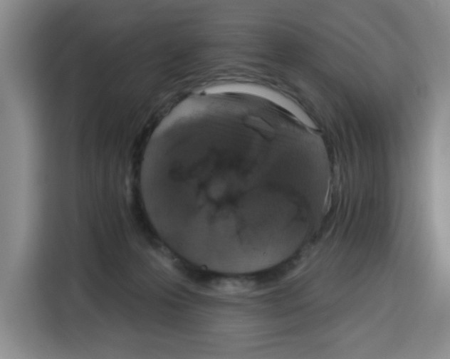 X0000115130223200911241452