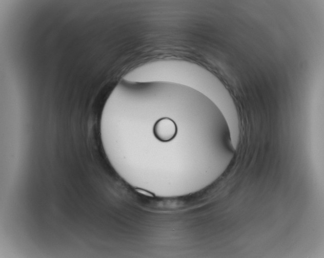 X0000115130225200911241452