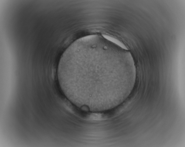 X0000115130227200911241452