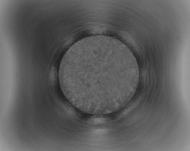X0000115130228200911241452