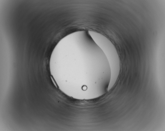 X0000115130229200911241452