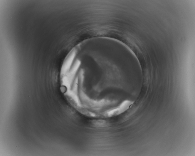 X0000115130230200911241452